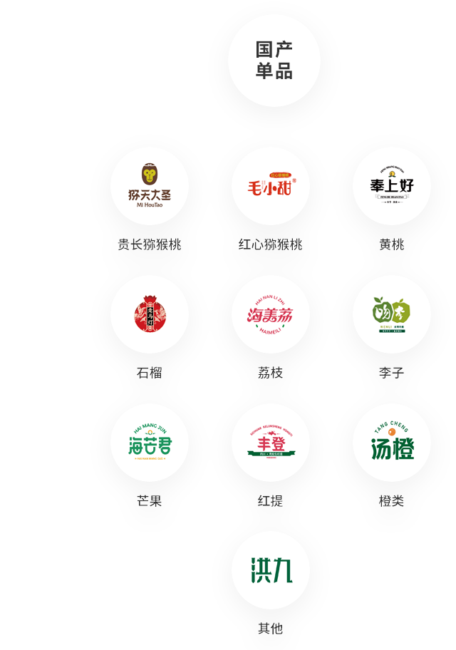洪九果品